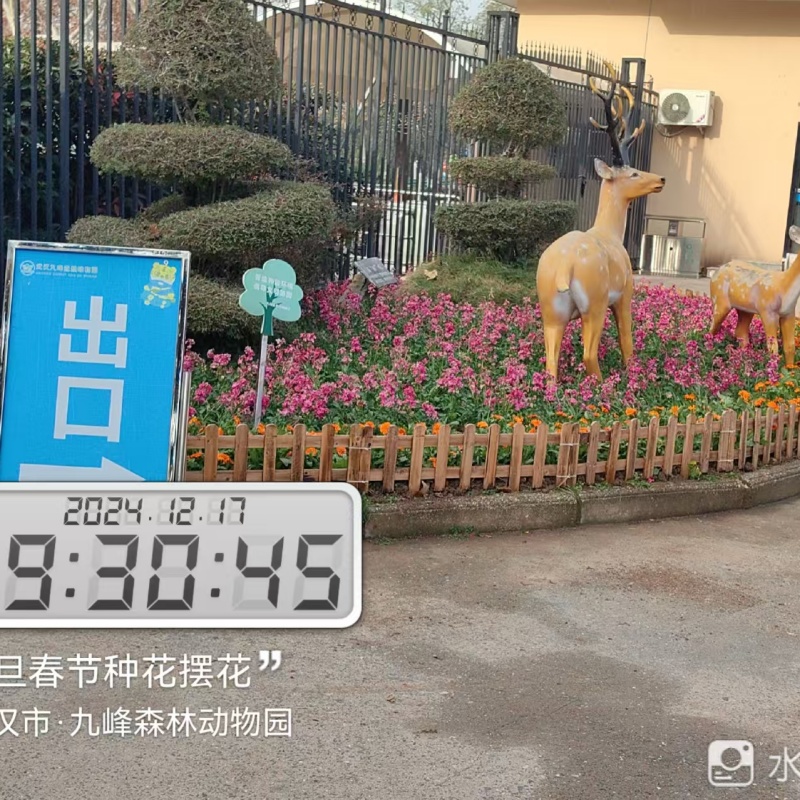 綠化養(yǎng)護(hù)