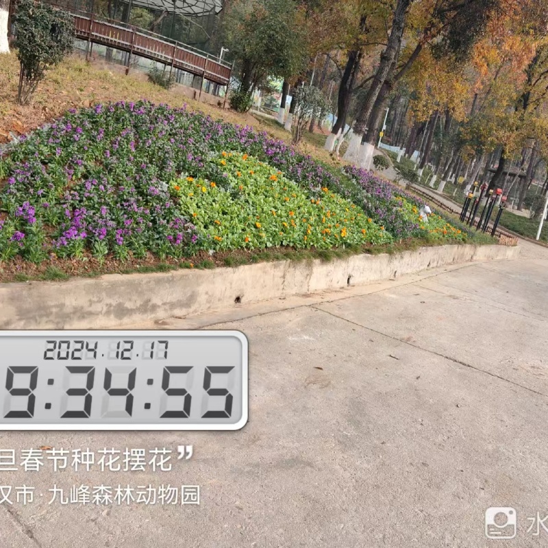 綠化養(yǎng)護(hù)